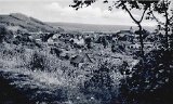 O02d - Ortsansicht vom Bierberg 1957